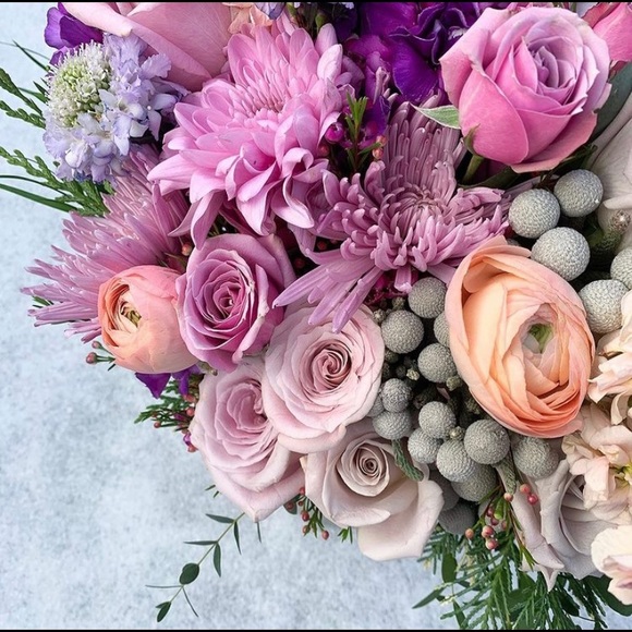 Meet your Posher, Mara - Picture 1 of 1